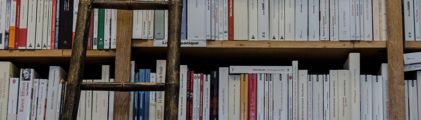 Bücherregal Büecherregal