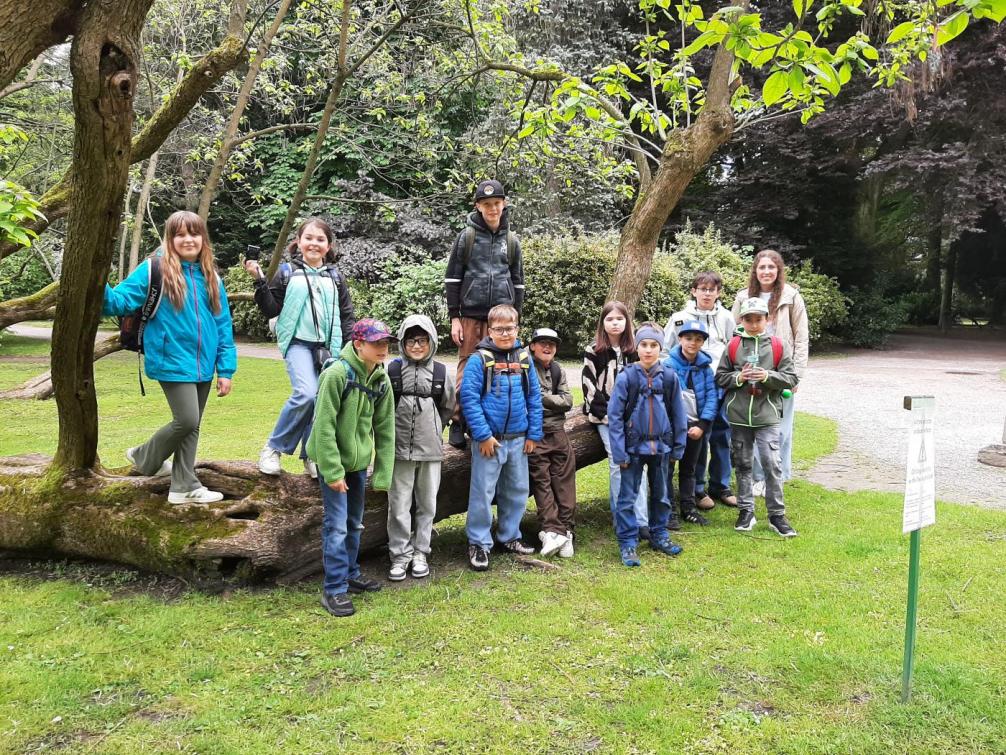 Picknick im Hofgarten