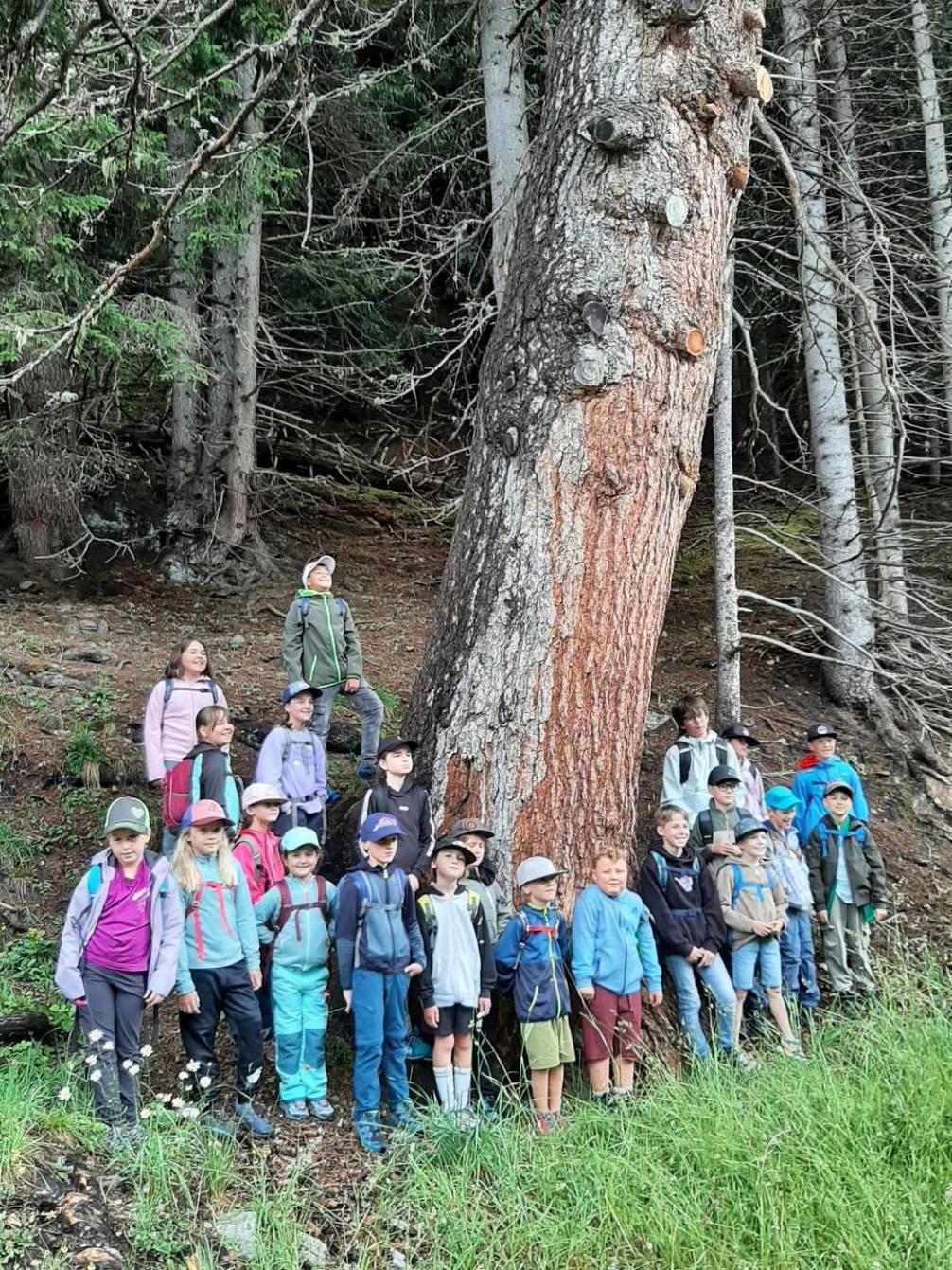 Wald - Wandertag